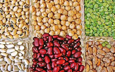 Is Sodium Molybdate Safe