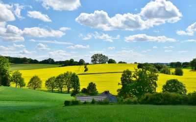 5 Common Raw Materials Used in the Agriculture Industry