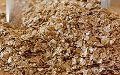 What Is the Difference Between Zinc and Zinc Sulfate