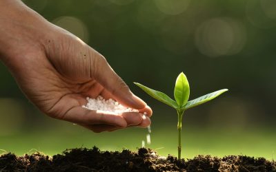 What Forms Is Calcium Nitrate Available In?